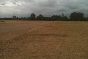 Hyde park in July 2010... not much water and less vitality