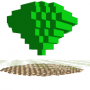 roots_logo.png