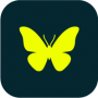 morpho_icon.png